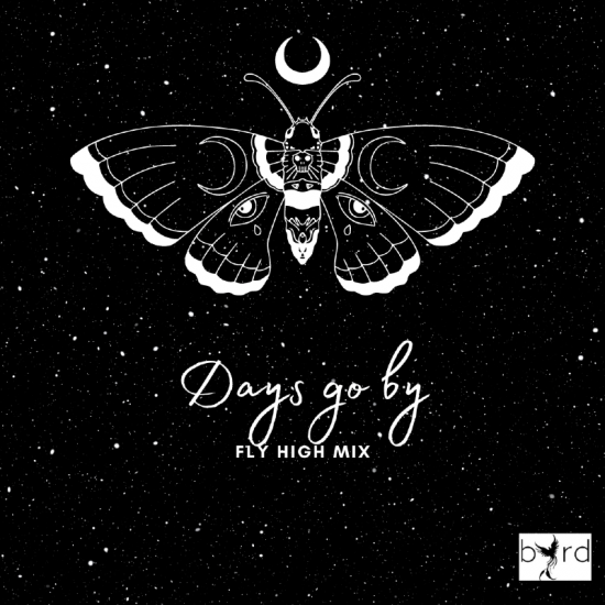Days go by ( Fly High mix ) - Bird
