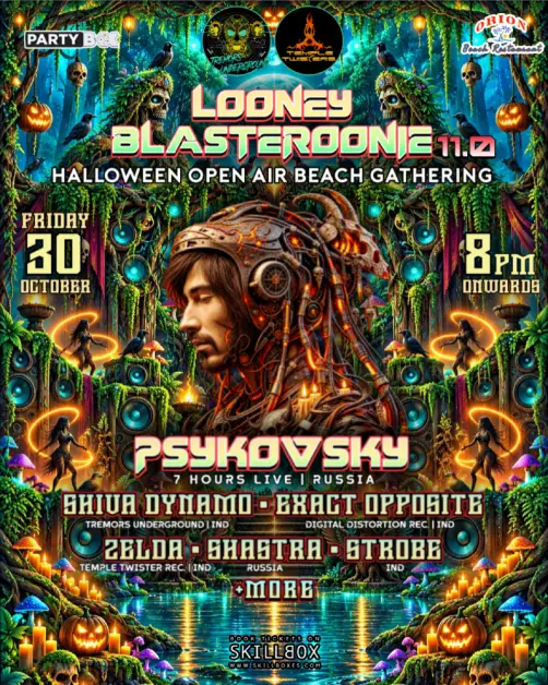 LOONEY BLASTEROONIE 11.0