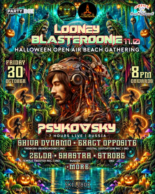 LOONEY BLASTEROONIE 11.0